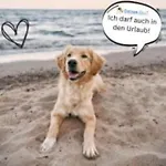 Kuestenliebe Von Ostseeahoi Lübeck