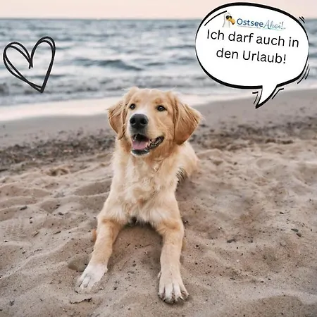 Kuestenliebe Von Ostseeahoi Lubeck
