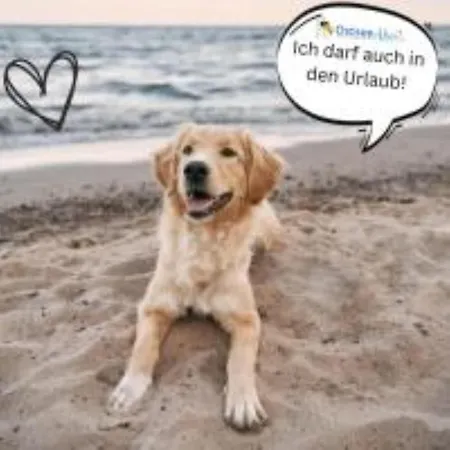 Kuestenliebe Von Ostseeahoi Lübeck